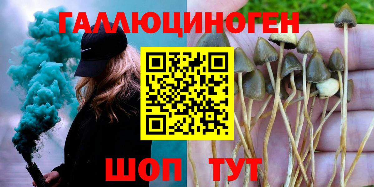 ГАШИШ  Красный Сулин  Марихуана  Меф МЯУ МЯУ кристаллы  АМФЕТАМИН   Вход с VPN  МЕТ  Кокаин  ГАШИШ 