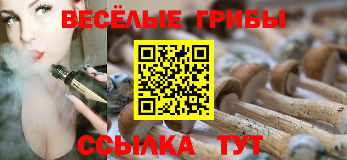 Красный Сулин  Галлюциногенные грибы прущие грибы  Галлюциногенные грибы Cubensis  где купить наркотик  Вход с VPN 
